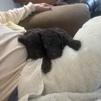 processed/a8c44ac5-982e-44a3-beb8-d5686d24cb43/facility/979e2a37-68cf-4ffd-a7fd-1be2f7b08a4f