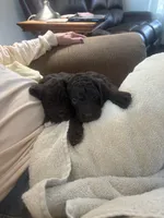 processed/a8c44ac5-982e-44a3-beb8-d5686d24cb43/facility/979e2a37-68cf-4ffd-a7fd-1be2f7b08a4f