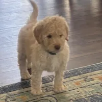 processed/a8c44ac5-982e-44a3-beb8-d5686d24cb43/facility/d3521924-94d8-4696-84dc-6264444fe64a