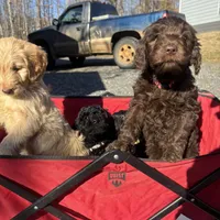 processed/a8c44ac5-982e-44a3-beb8-d5686d24cb43/facility/da154f07-5a77-474f-be3f-42425be15315