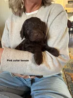 processed/a8c44ac5-982e-44a3-beb8-d5686d24cb43/listing/0f69a0ae-2bf1-4fa6-b57c-9a308177c1ca/2f770e4a-5445-4643-bad3-6c39abe49d4b