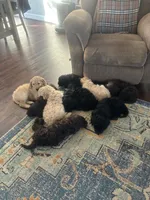 processed/a8c44ac5-982e-44a3-beb8-d5686d24cb43/listing/b9eb86a8-92a7-4342-b348-1ffa6fc2e62a/09d9ce47-f646-4566-92d7-3427eebf35c8