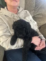 processed/a8c44ac5-982e-44a3-beb8-d5686d24cb43/listing/b9eb86a8-92a7-4342-b348-1ffa6fc2e62a/163d216c-d6aa-4609-b64e-11fc68c6448e