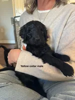 processed/a8c44ac5-982e-44a3-beb8-d5686d24cb43/listing/b9eb86a8-92a7-4342-b348-1ffa6fc2e62a/cbd6e5bb-cd15-4862-b710-13c455fb477c