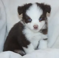 processed/a8c4850d-f77d-4086-8d5f-4ee6928d9999/listing/1cbc0af0-0791-49db-a3ac-65c627188f4f/138c4278-ff59-4925-9be4-ccb76e3d2d72