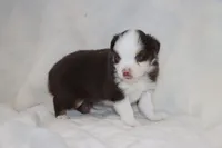 processed/a8c4850d-f77d-4086-8d5f-4ee6928d9999/listing/1cbc0af0-0791-49db-a3ac-65c627188f4f/31722582-1ff3-48e0-be1a-8f601a8ff7bf