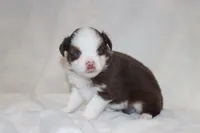 processed/a8c4850d-f77d-4086-8d5f-4ee6928d9999/listing/1cbc0af0-0791-49db-a3ac-65c627188f4f/6ec24391-d774-472f-acbe-7c92f6e9e24c