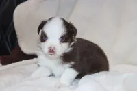 processed/a8c4850d-f77d-4086-8d5f-4ee6928d9999/listing/1cbc0af0-0791-49db-a3ac-65c627188f4f/f4bffb71-5e1e-4ce2-873b-82a6cd1f1122