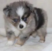 processed/a8c4850d-f77d-4086-8d5f-4ee6928d9999/listing/d2928e0e-fa80-4439-82d7-b1b0d3940976/35b5f836-cb50-464f-9920-cf682ece6db8