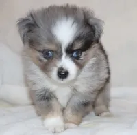 processed/a8c4850d-f77d-4086-8d5f-4ee6928d9999/listing/d2928e0e-fa80-4439-82d7-b1b0d3940976/c01d6a22-c71e-4a85-abed-d5b5a6ed938a