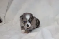 processed/a8c4850d-f77d-4086-8d5f-4ee6928d9999/listing/d2928e0e-fa80-4439-82d7-b1b0d3940976/c835fc33-539b-429d-971e-6ec17bc1554c