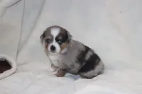 processed/a8c4850d-f77d-4086-8d5f-4ee6928d9999/listing/d2928e0e-fa80-4439-82d7-b1b0d3940976/e76c0781-3a10-4fac-aad5-7f3156289ae6