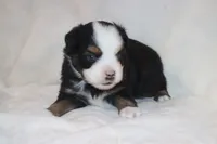 processed/a8c4850d-f77d-4086-8d5f-4ee6928d9999/listing/f6546969-3aa1-47cd-8087-f57476b1afb4/076c3fbd-72b8-481a-bd17-988519ee2b5f