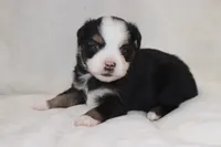 processed/a8c4850d-f77d-4086-8d5f-4ee6928d9999/listing/f6546969-3aa1-47cd-8087-f57476b1afb4/4810f4e8-400b-4ffc-9ca7-7c1bbc37b6aa