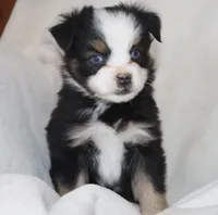 processed/a8c4850d-f77d-4086-8d5f-4ee6928d9999/listing/f6546969-3aa1-47cd-8087-f57476b1afb4/6c36ea00-bbde-429e-b3c1-285e4bd663b8