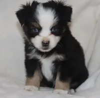 processed/a8c4850d-f77d-4086-8d5f-4ee6928d9999/listing/f6546969-3aa1-47cd-8087-f57476b1afb4/9a519d7f-3814-4317-8c98-a3f8af732ad5