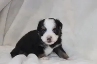 processed/a8c4850d-f77d-4086-8d5f-4ee6928d9999/listing/f6546969-3aa1-47cd-8087-f57476b1afb4/c58adc99-a2fb-43b0-97ef-e53efbaf64fe