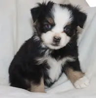 processed/a8c4850d-f77d-4086-8d5f-4ee6928d9999/listing/f6546969-3aa1-47cd-8087-f57476b1afb4/f30e810e-f65c-4791-8fd3-883aa67065be