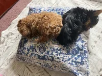 processed/a8c69f8e-c0c0-4d17-9ec9-934f9c88a480/facility/28203ce4-4c6b-46a0-b117-c368ab1862a7