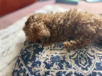 processed/a8c69f8e-c0c0-4d17-9ec9-934f9c88a480/facility/97108e31-0d35-4523-8a68-d20a12188489