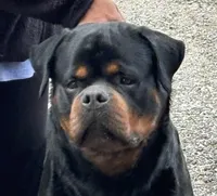 processed/a8c8f0a0-a3bd-4ee3-a358-917b50e08ee2/listing/bf112407-bf31-4a74-86fb-c72cd37f0bbc/b500298b-c157-434a-a450-6f4d79f27c5e