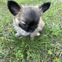 processed/a8d78205-2855-403f-86bb-0ed38af5af2b/facility/60965d8f-b5a6-4567-ab98-c5178b28cbcf