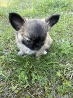 processed/a8d78205-2855-403f-86bb-0ed38af5af2b/facility/60965d8f-b5a6-4567-ab98-c5178b28cbcf