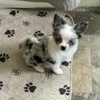 processed/a8d78205-2855-403f-86bb-0ed38af5af2b/facility/642eb4a0-01b5-4c11-9672-f0374cd1cd08