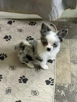 processed/a8d78205-2855-403f-86bb-0ed38af5af2b/facility/642eb4a0-01b5-4c11-9672-f0374cd1cd08