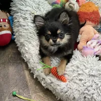 processed/a8d78205-2855-403f-86bb-0ed38af5af2b/facility/65318aeb-35b8-4475-8d8a-af5123f42ebb