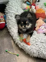 processed/a8d78205-2855-403f-86bb-0ed38af5af2b/facility/65318aeb-35b8-4475-8d8a-af5123f42ebb