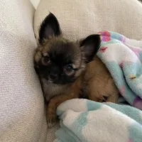 processed/a8d78205-2855-403f-86bb-0ed38af5af2b/facility/6819e907-0347-4c4c-8b7a-fa83f7cd1b95