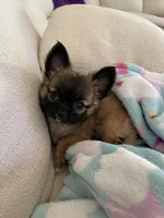 processed/a8d78205-2855-403f-86bb-0ed38af5af2b/facility/6819e907-0347-4c4c-8b7a-fa83f7cd1b95