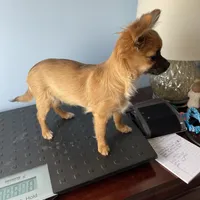 processed/a8d78205-2855-403f-86bb-0ed38af5af2b/facility/77d9a880-99c1-41f7-a533-97ab41f86925