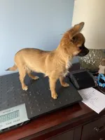 processed/a8d78205-2855-403f-86bb-0ed38af5af2b/facility/77d9a880-99c1-41f7-a533-97ab41f86925