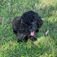 processed/a8d78205-2855-403f-86bb-0ed38af5af2b/facility/84853263-4c7d-433f-85b6-f1b123f4803b