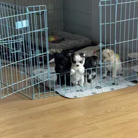 processed/a8d78205-2855-403f-86bb-0ed38af5af2b/facility/b5826738-6928-4521-ac07-b38b632ff966