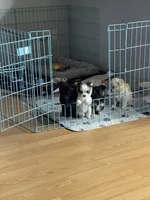 processed/a8d78205-2855-403f-86bb-0ed38af5af2b/facility/b5826738-6928-4521-ac07-b38b632ff966