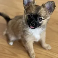 processed/a8d78205-2855-403f-86bb-0ed38af5af2b/facility/b7e62f31-56bd-4e09-9ba9-13b65e8f8dd7