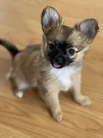 processed/a8d78205-2855-403f-86bb-0ed38af5af2b/facility/b7e62f31-56bd-4e09-9ba9-13b65e8f8dd7