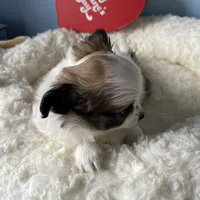 processed/a8d78205-2855-403f-86bb-0ed38af5af2b/facility/caf0d39e-af63-4a58-a0e3-61a73b4c1e64