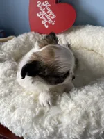 processed/a8d78205-2855-403f-86bb-0ed38af5af2b/facility/caf0d39e-af63-4a58-a0e3-61a73b4c1e64