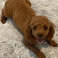 processed/a8d78205-2855-403f-86bb-0ed38af5af2b/facility/d357b2c6-f832-4ee1-9233-70273f1413da