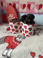 processed/a8d78205-2855-403f-86bb-0ed38af5af2b/listing/36f193a0-4035-4aa5-8512-f093f21d98fb/00711ae6-63ed-4062-84ce-6d88149709a6