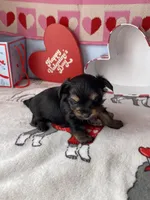 processed/a8d78205-2855-403f-86bb-0ed38af5af2b/listing/36f193a0-4035-4aa5-8512-f093f21d98fb/059fab54-b23f-44ea-9909-c0e3b3d421d8