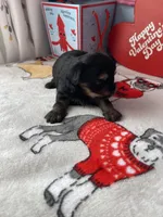 processed/a8d78205-2855-403f-86bb-0ed38af5af2b/listing/36f193a0-4035-4aa5-8512-f093f21d98fb/0e19e686-fbac-408f-9c7f-c0a5a0d127fb