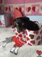 processed/a8d78205-2855-403f-86bb-0ed38af5af2b/listing/36f193a0-4035-4aa5-8512-f093f21d98fb/bd3cbb5d-6e08-4827-b89b-dafd289eb47c