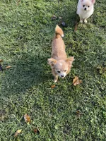 processed/a8d78205-2855-403f-86bb-0ed38af5af2b/listing/36f193a0-4035-4aa5-8512-f093f21d98fb/c386bfcb-ebb2-4de7-9c2f-d63799a5cdb1