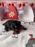 processed/a8d78205-2855-403f-86bb-0ed38af5af2b/listing/36f193a0-4035-4aa5-8512-f093f21d98fb/fd50a127-9b66-42d9-93ef-9ccf26c8e1ef