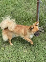 processed/a8d78205-2855-403f-86bb-0ed38af5af2b/listing/90663076-3f0b-48e8-b21a-0ac1bb490af9/23a4e2be-a4a0-4c77-bbfa-c4a97f3d1fd9